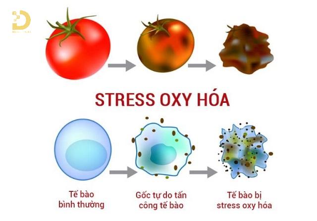 Phòng Khám Điều Trị Tàn Nhang, Đồi Mồi Ở HCM Uy Tín 10 tri tan nhang doi moi 4