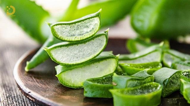 Nhận Diện Các Loại Sẹo Thường Gặp Và Cách Điều Trị Hiệu Quả 22 Bôi gel lô hội tươi hoặc nha đam lên vùng da sẹo