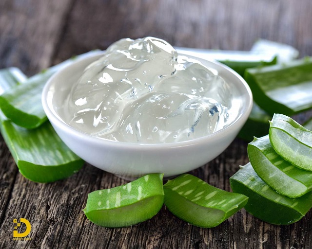 Top 10 Cách Điều Trị Mụn Tại Nhà Đơn Giản, An Toàn 16 Trị mụn bằng nha đam