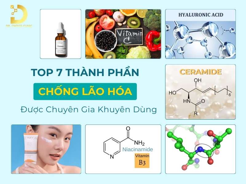 Top 7 Thành Phần Chống Lão Hóa Được Chuyên Gia Khuyên Dùng 10 Top 7 thành phần chống lão hóa