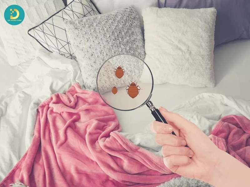 Phòng Khám Điều Trị Nấm Da Đầu Ở TP.HCM Uy Tín, Hiệu Quả 15 Những yếu tố quyết định hiệu quả điều trị nấm da đầu