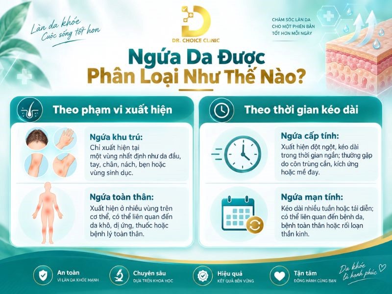 Ngứa Da: Nguyên Nhân, Phân Loại, Cách Nhận Biết Và Chăm Sóc Đúng Cách 16 Phân loại ngứa da