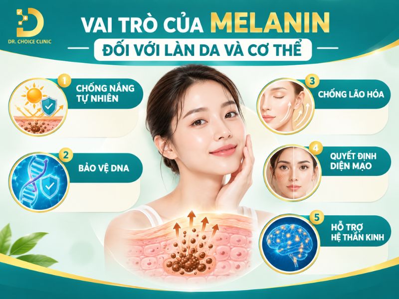 Sắc Tố Melanin: Các Loại, Cơ Chế Hình Thành, Vai Trò & Các Vấn Đề Liên Quan 13 Vai trò của Melanin với làn da và cơ thể